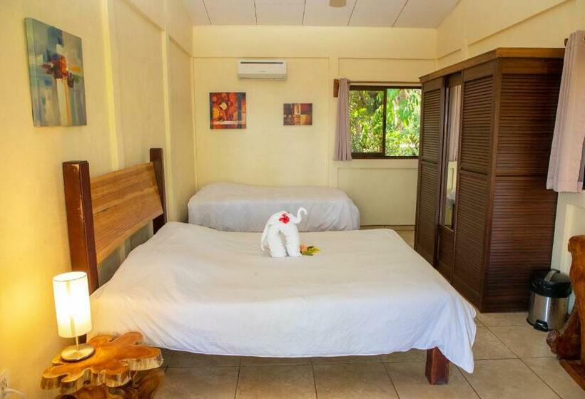 غرفة ديلوكس مطلّة علي البحر, Jungle Lodge At Wild Sun Rescue Center