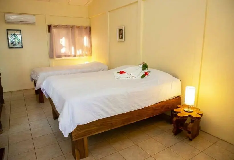 オーシャンビューデラックスルーム, Jungle Lodge At Wild Sun Rescue Center