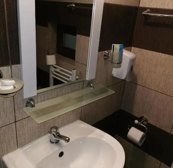 スタンダードルーム, Casa De Vacanta Predeal