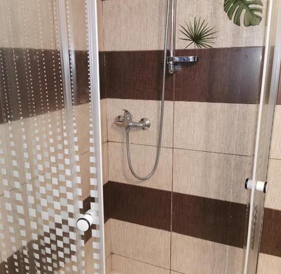 חדר סטנדרט, Casa De Vacanta Predeal