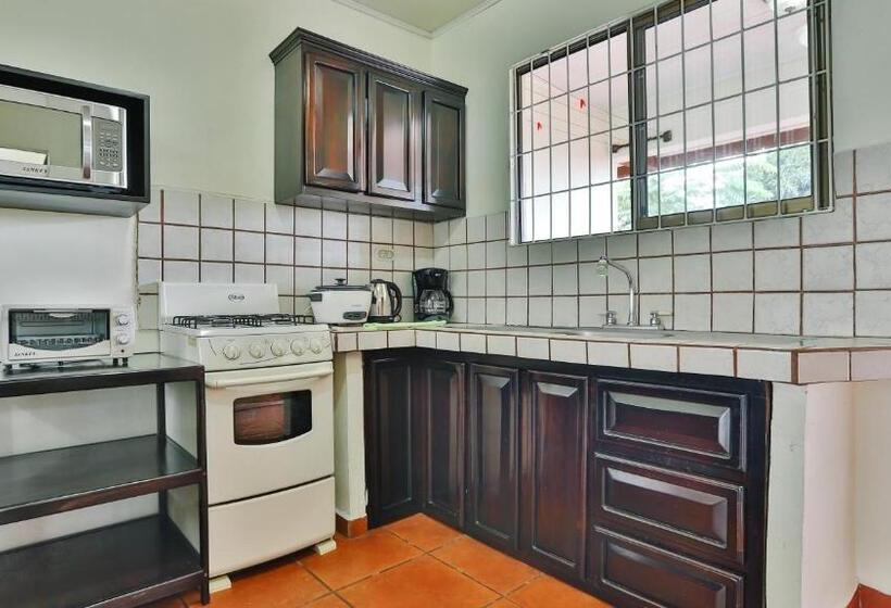 带1个卧室带观景的公寓, Condo S Vista Al Volcan