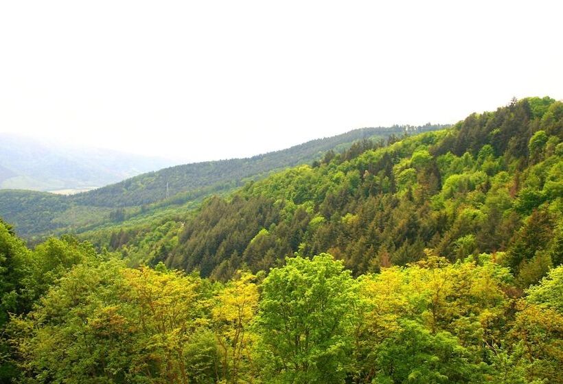 Семейный Номер, L'hostellerie Le Turckheim Croix D'or