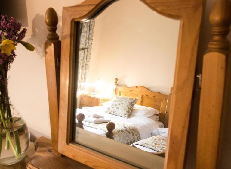 标准间, Plas Dolau Country Estate