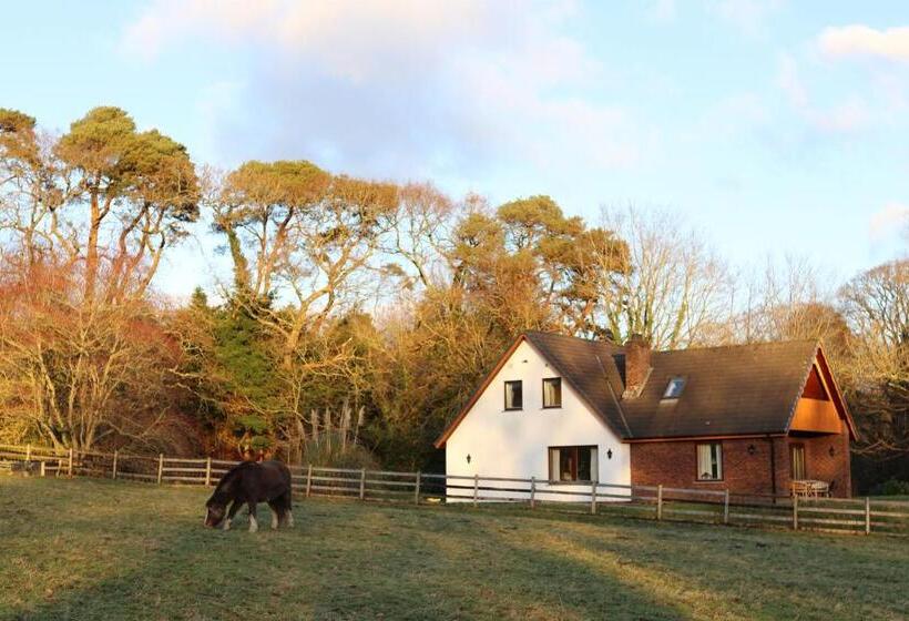 标准房带园景, Plas Dolau Country Estate