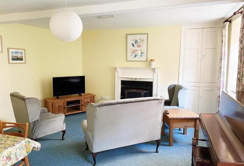 豪华房间, Plas Dolau Country Estate