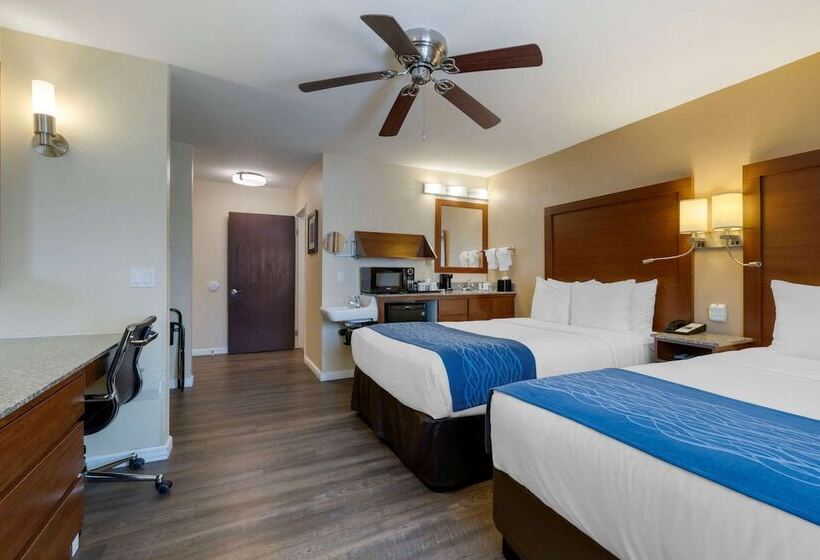 带2个双人床的标准工作室, Comfort Inn Gaslamp Convention Center