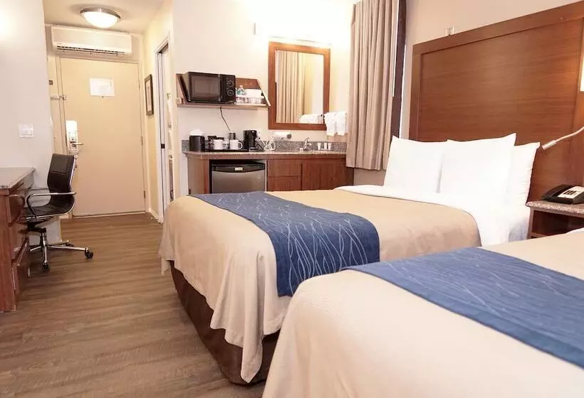 2ダブルベッドのスタンダードルーム, Comfort Inn Gaslamp Convention Center