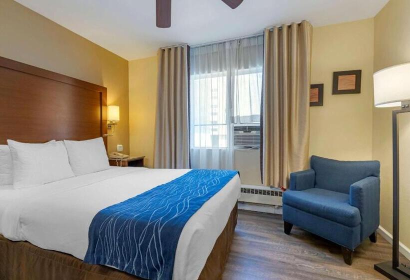 标准间, Comfort Inn Gaslamp Convention Center