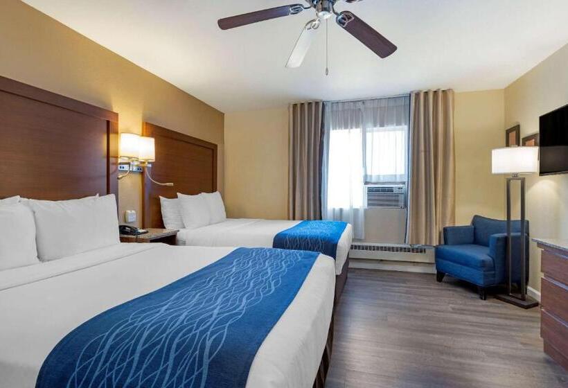 带2个双人床的标准工作室, Comfort Inn Gaslamp Convention Center