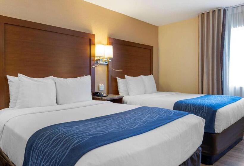 חדר סטנדרט שתי מיטות זוגיות, Comfort Inn Gaslamp Convention Center