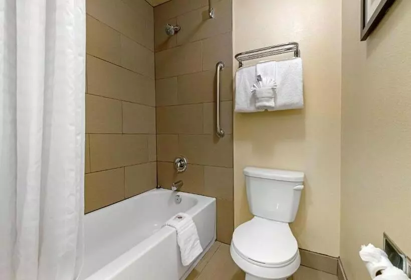 キングサイズベッドのスタンダードルーム, Comfort Inn Gaslamp Convention Center