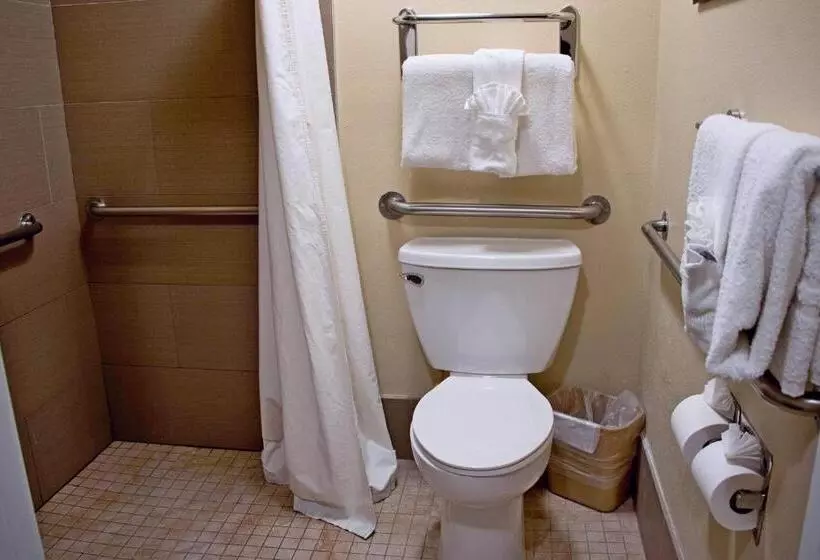 身障者適用キングサイズベッドルーム, Comfort Inn Gaslamp Convention Center