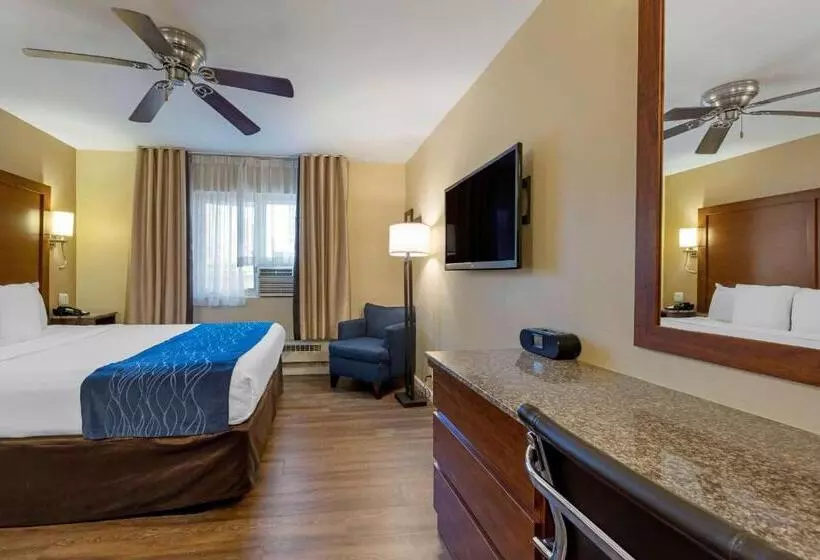 身障者適用キングサイズベッドルーム, Comfort Inn Gaslamp Convention Center