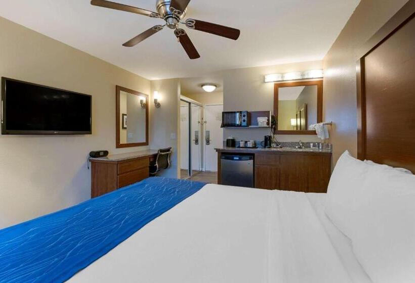适合残疾人士使用的带超级大床的标准间, Comfort Inn Gaslamp Convention Center