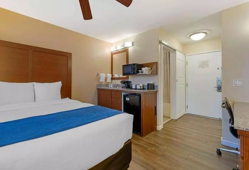 身障者適用キングサイズベッドルーム, Comfort Inn Gaslamp Convention Center