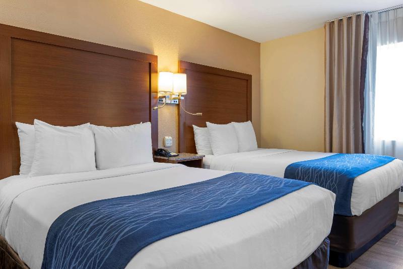 标准间, Comfort Inn Gaslamp Convention Center