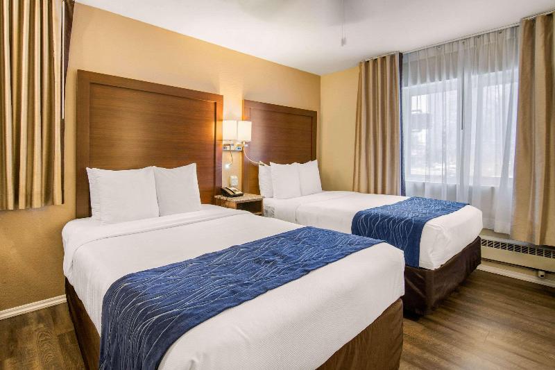 标准间, Comfort Inn Gaslamp Convention Center