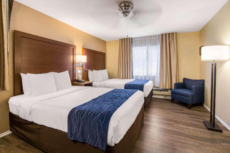 חדר סטנדרט, Comfort Inn Gaslamp Convention Center