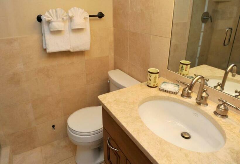 شقة غرفة واحدة, Vail Racquet Club Mountain Resort