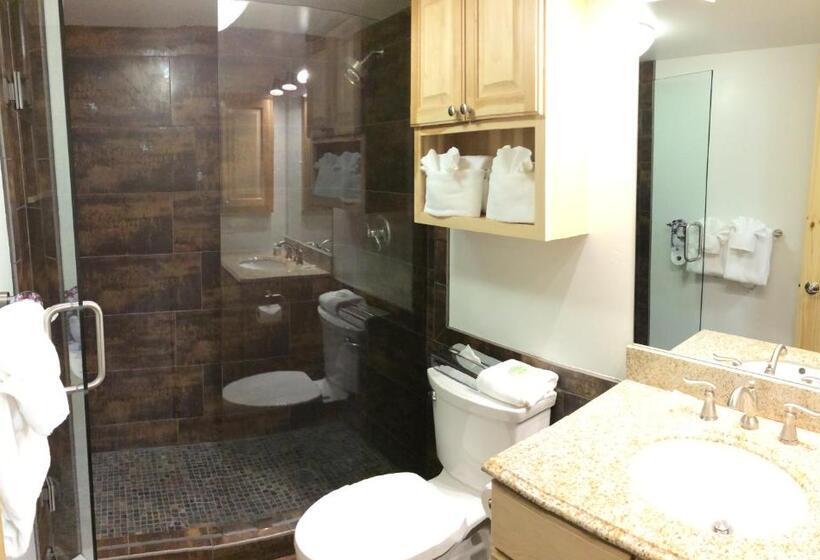 شقة غرفة واحدة, Vail Racquet Club Mountain Resort