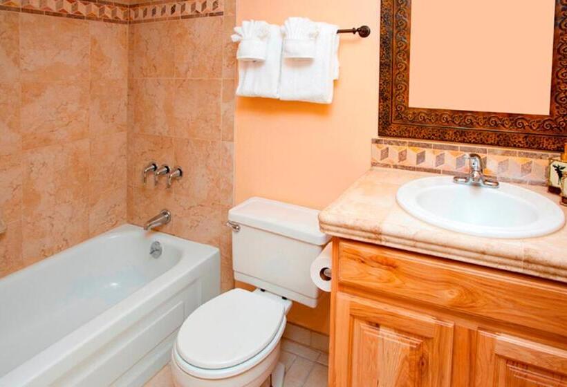 شقة غرفة واحدة, Vail Racquet Club Mountain Resort