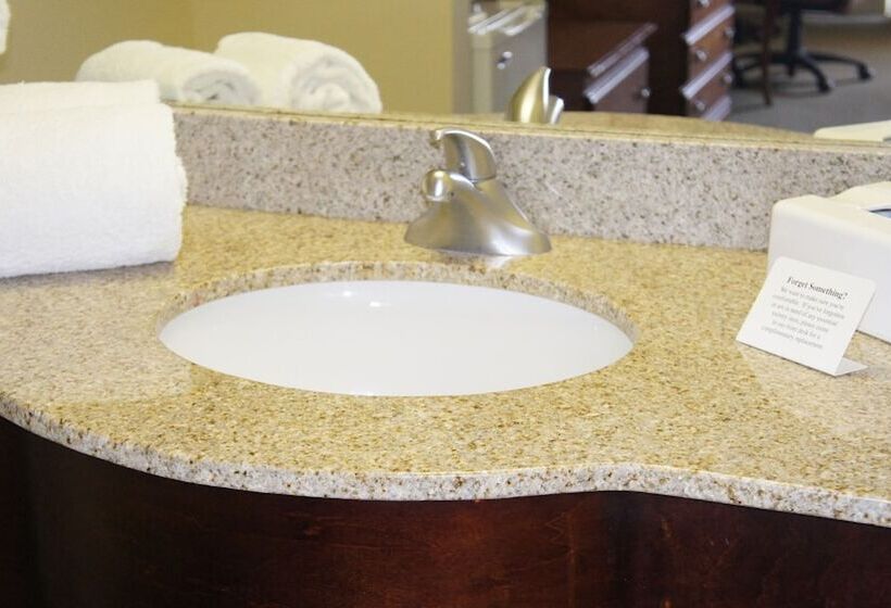 غرفة قياسية, Village Inn Destin