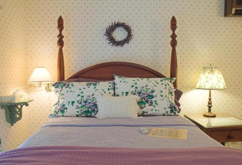 기본룸, White Lace Inn