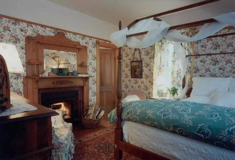اتاق اکونومی, White Lace Inn