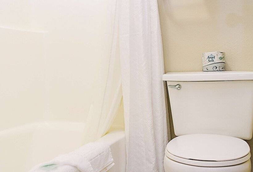 جناح إدارى, Lavissh Inn & Suites