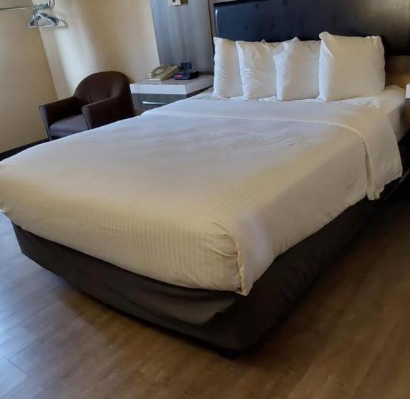 غرفة قياسية, Lavissh Inn & Suites