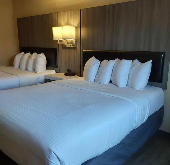 غرفة قياسية, Lavissh Inn & Suites