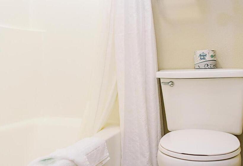 غرفة قياسية سرير كينج, Lavissh Inn & Suites