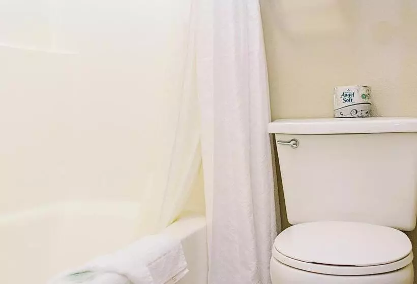キングサイズベッドのスタンダードルーム, Lavissh Inn & Suites