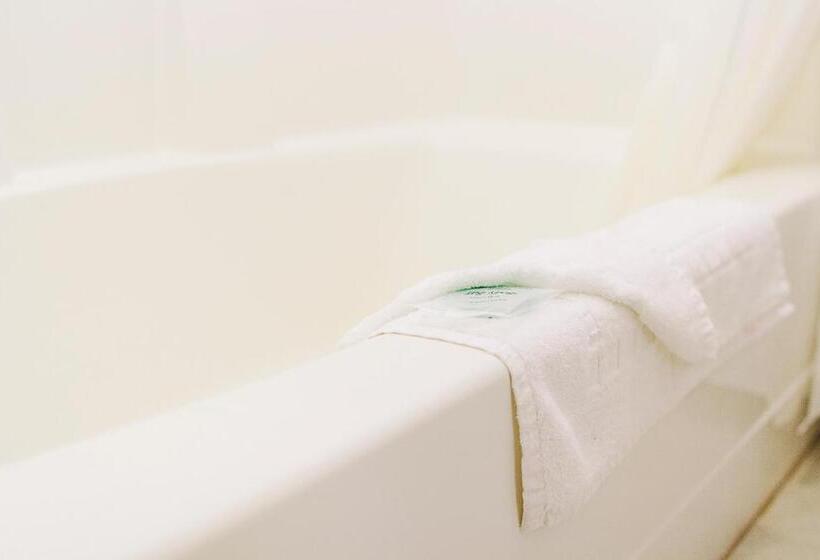 غرفة قياسية سرير كينج, Lavissh Inn & Suites