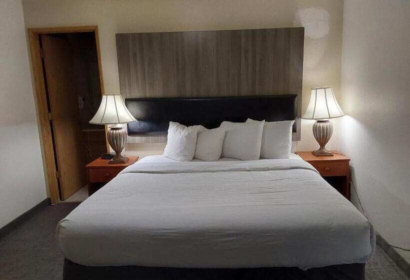 غرفة قياسية سرير كينج, Lavissh Inn & Suites