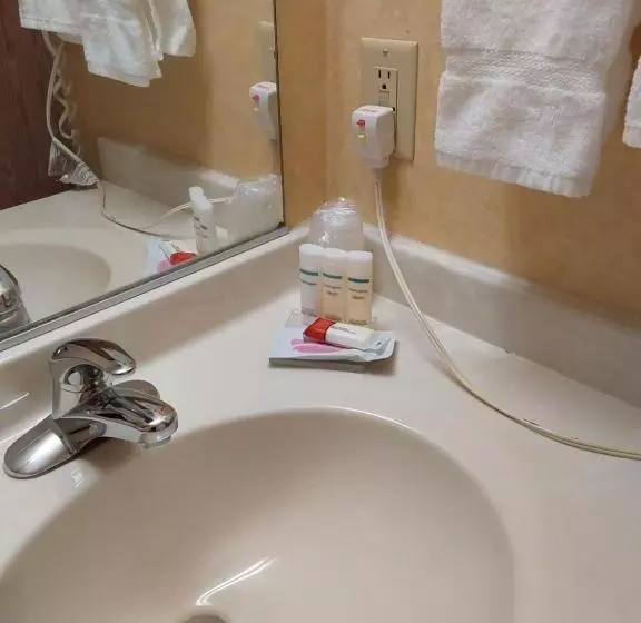 デラックススイート, Lavissh Inn & Suites