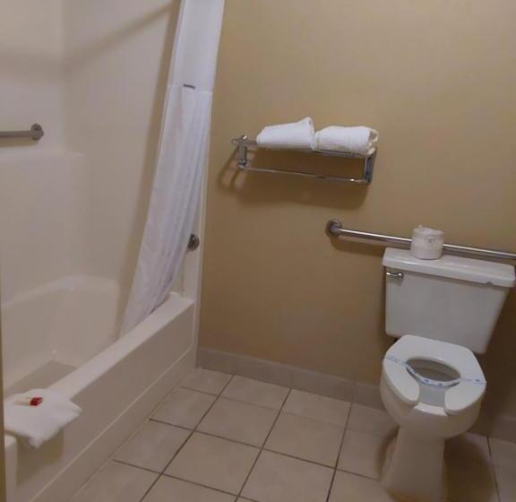 غرفة قياسية لذوى الاحتياجات الخاصة, Lavissh Inn & Suites