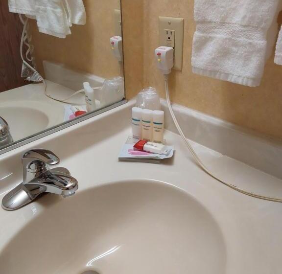 身障者適用スタンダードルーム, Lavissh Inn & Suites
