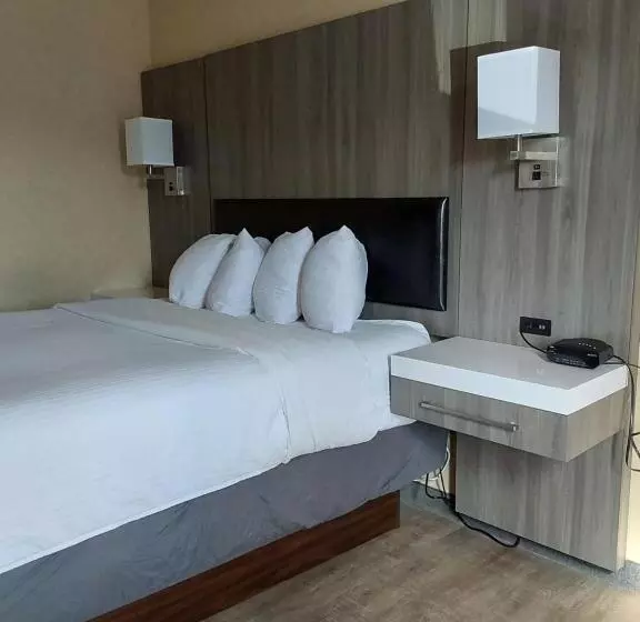 身障者適用スタンダードルーム, Lavissh Inn & Suites