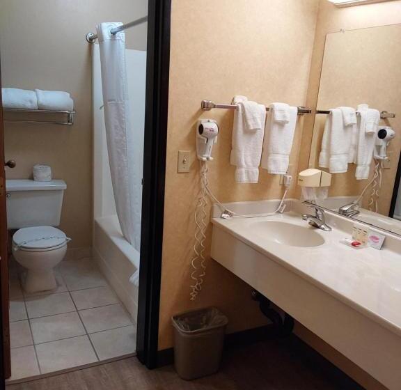 جناح إدارى, Lavissh Inn & Suites