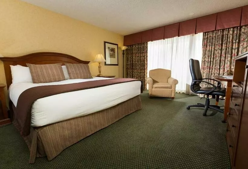 اتاق استاندارد با تخت بزرگ, Red Lion  Seattle Airport