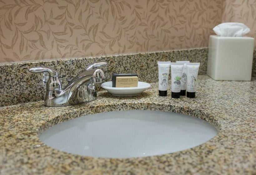 اتاق استاندارد برای معلولان, Red Lion Seattle Airport