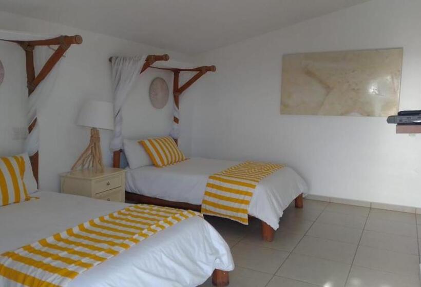 סוויטה, Color Marino Seaside