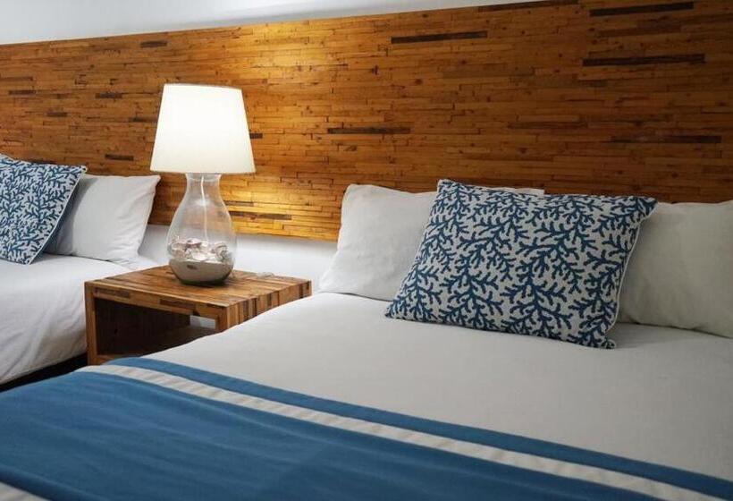 סוויטה, Color Marino Seaside