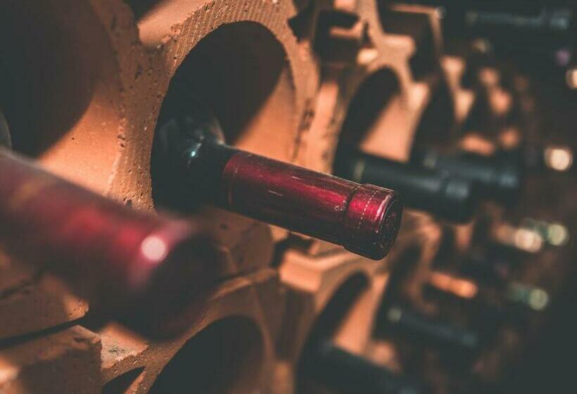 수피리어 싱글 룸, Allegra