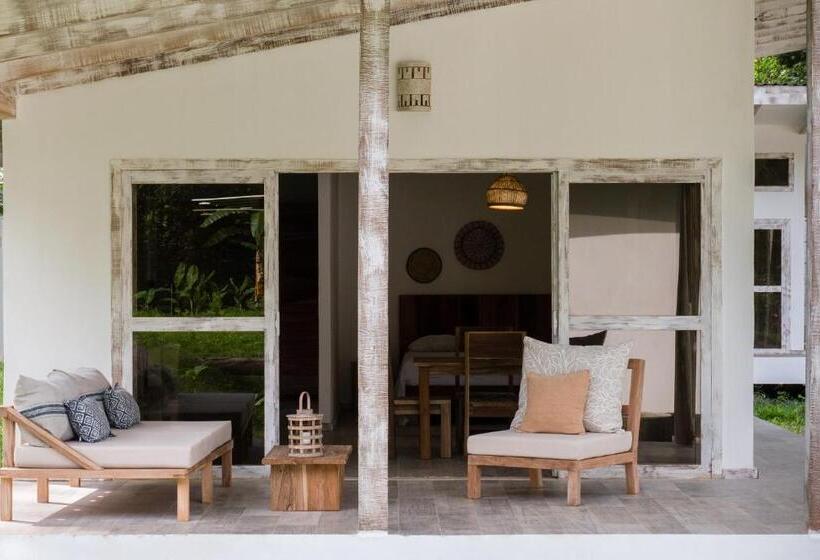 Студия Стандарт, Sonora Jungle & Yoga Retreat