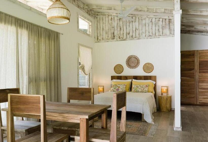 חדר סטודיו סטנדרד, Sonora Jungle & Yoga Retreat