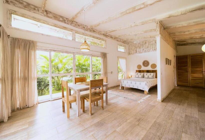 Студия Стандарт, Sonora Jungle & Yoga Retreat