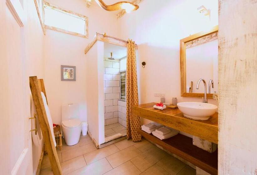 חדר סטודיו סטנדרד, Sonora Jungle & Yoga Retreat