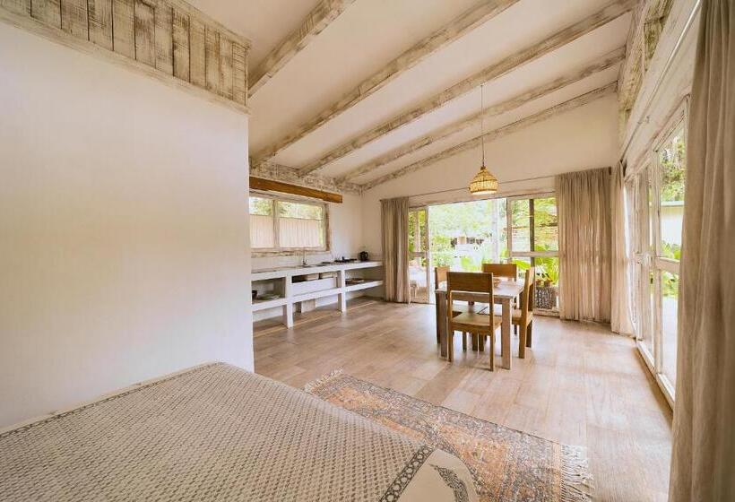 חדר סטודיו סטנדרד, Sonora Jungle & Yoga Retreat